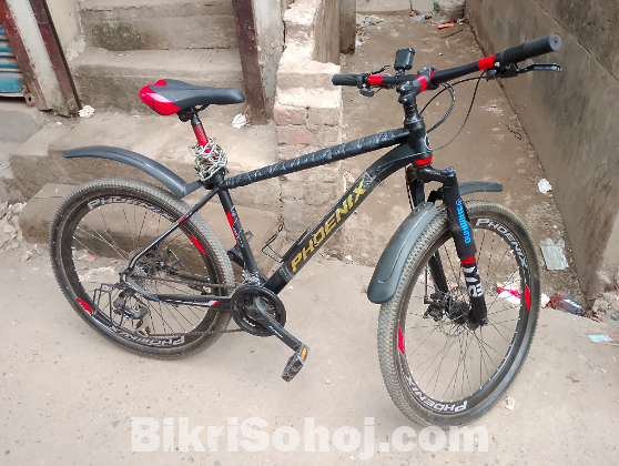 Phoenix cycle 26